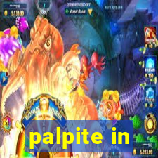 palpite in